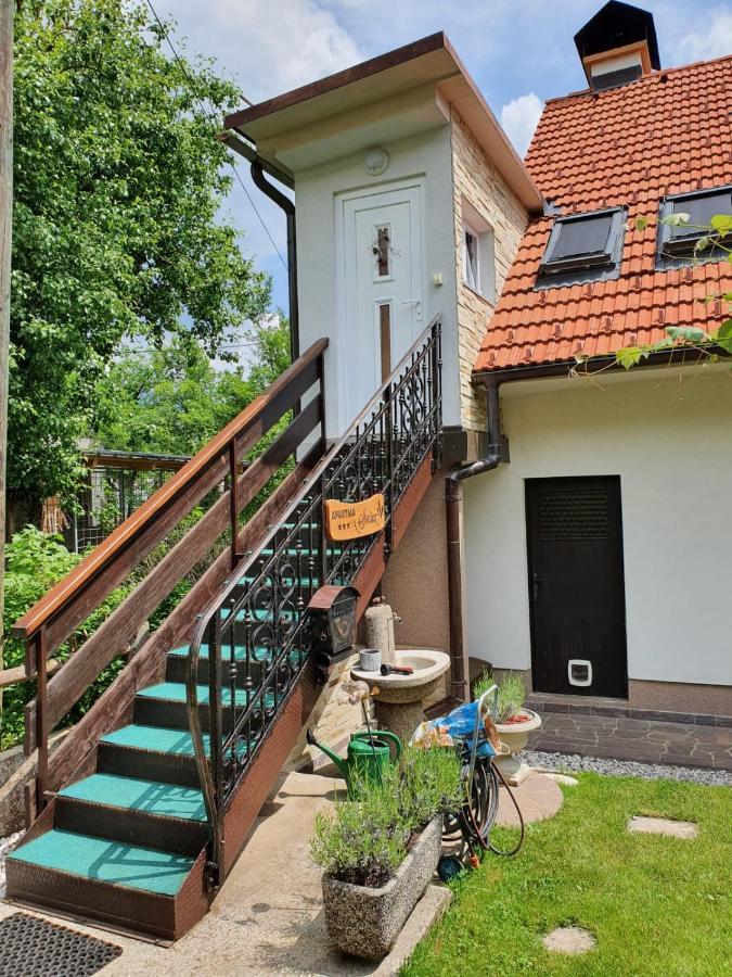 Apartma Svetina Bled Esterno foto